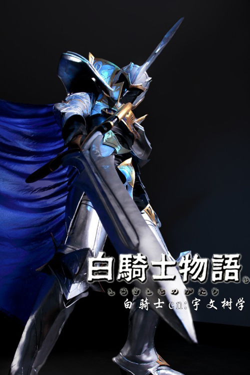 2011 NYCC重庆赛区白骑士团征战全国决赛 2011 NYCC重庆赛区白骑士团征战全国决赛